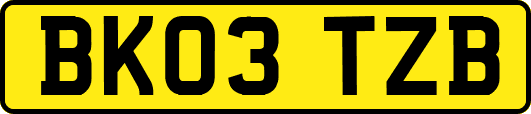 BK03TZB