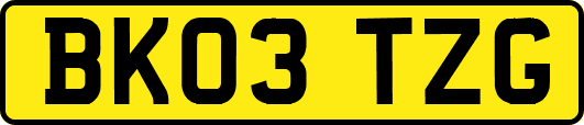BK03TZG