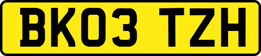 BK03TZH