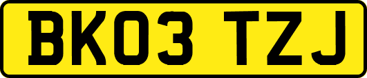 BK03TZJ