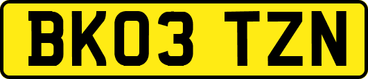 BK03TZN