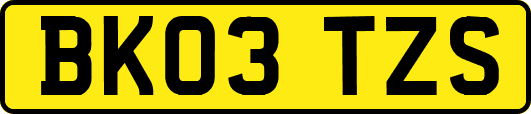 BK03TZS