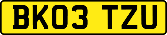 BK03TZU