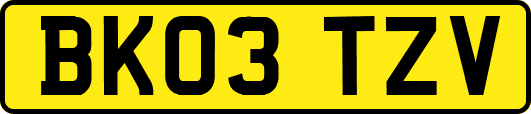 BK03TZV