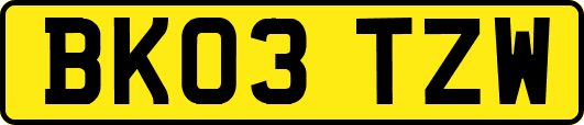 BK03TZW