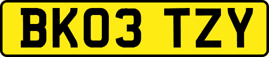 BK03TZY
