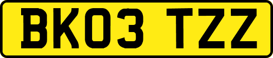 BK03TZZ