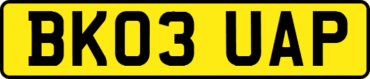 BK03UAP