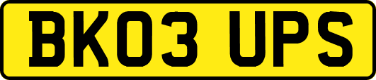 BK03UPS