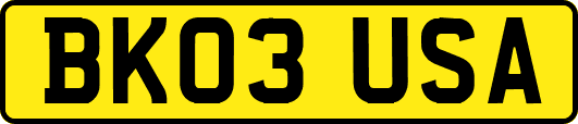 BK03USA