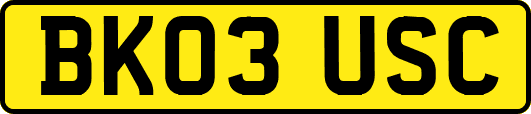 BK03USC