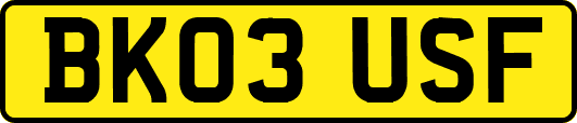 BK03USF