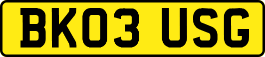 BK03USG