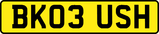 BK03USH