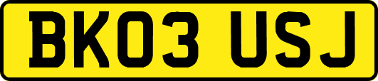 BK03USJ