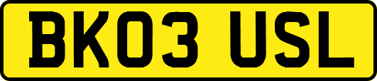 BK03USL