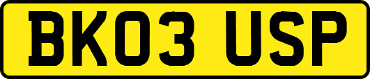 BK03USP