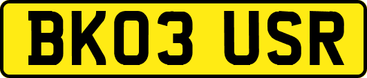 BK03USR
