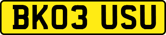 BK03USU
