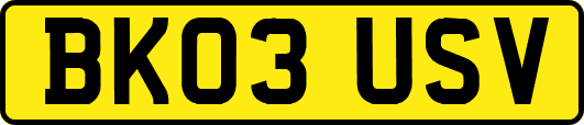BK03USV