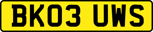 BK03UWS