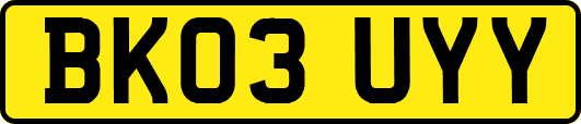 BK03UYY
