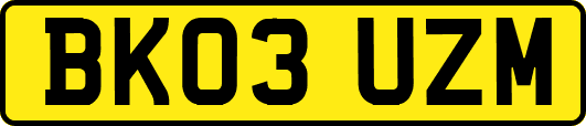 BK03UZM
