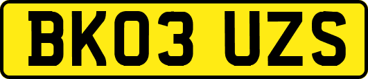 BK03UZS
