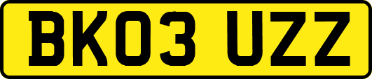 BK03UZZ