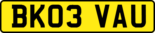 BK03VAU