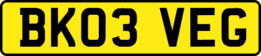 BK03VEG