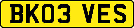 BK03VES