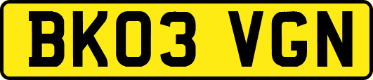 BK03VGN