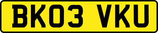 BK03VKU