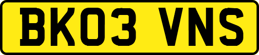 BK03VNS