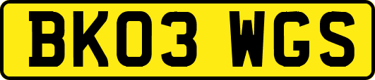 BK03WGS