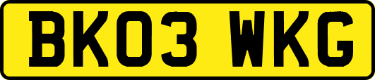 BK03WKG