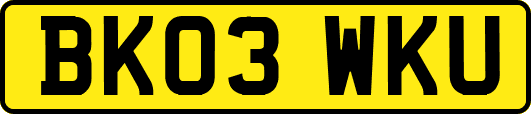 BK03WKU