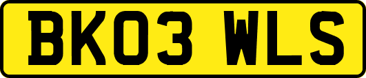 BK03WLS