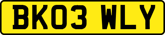 BK03WLY