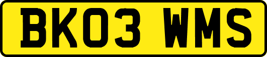 BK03WMS