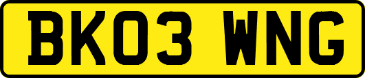 BK03WNG
