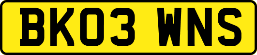 BK03WNS