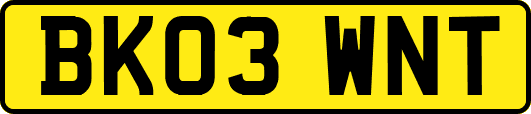 BK03WNT