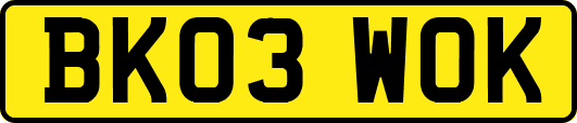 BK03WOK