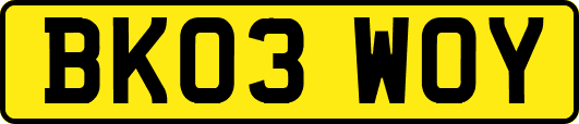 BK03WOY
