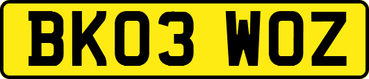 BK03WOZ
