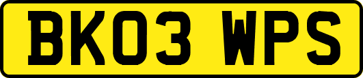 BK03WPS
