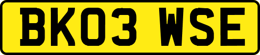 BK03WSE