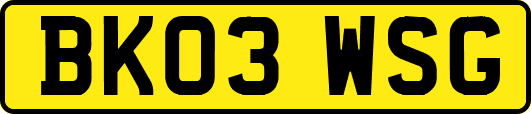 BK03WSG